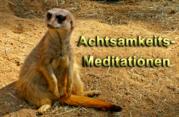 Achtsamkeits-Meditation zum Download