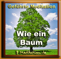 Meditation - Wie ein Baum